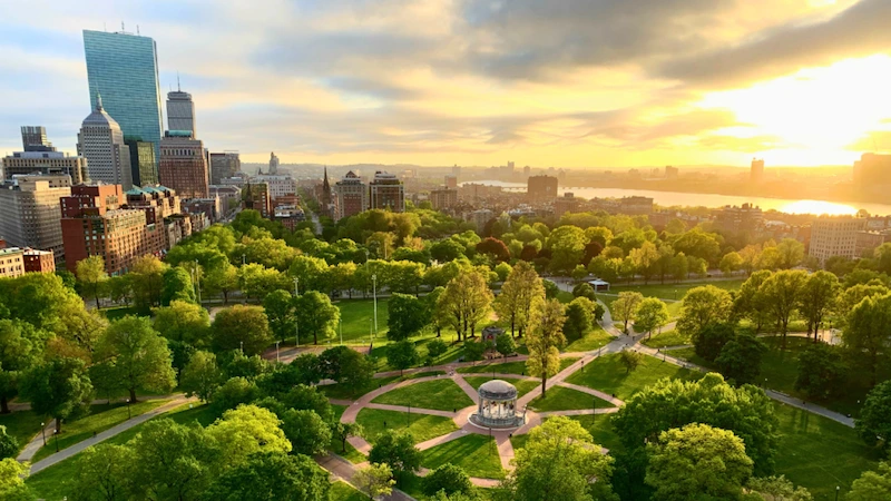 Why You Should Consider Moving to Boston