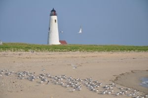 Nantucket as one of the best tourist attractions in Massachusetts