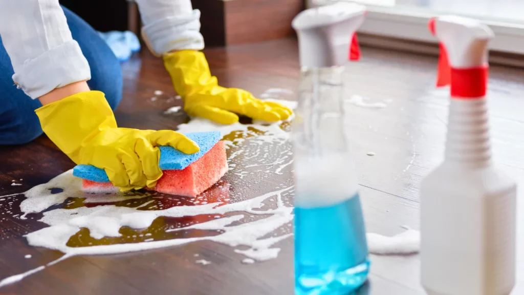 Maintain your house clean during your move