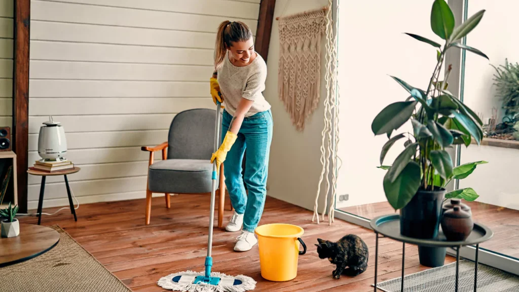 Maintain Your House Clean During Your Move