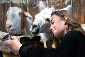 woman cuddling goats