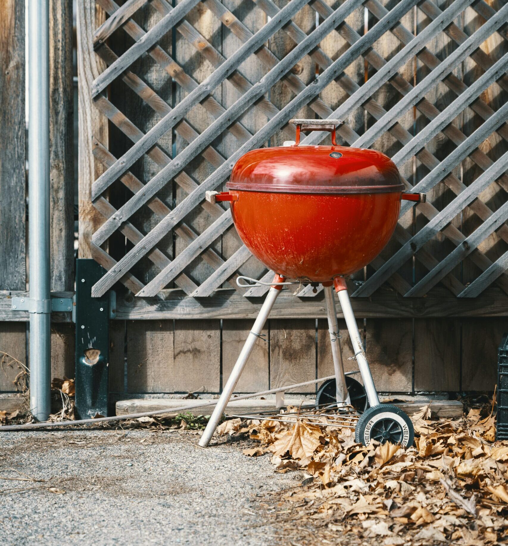 Grilling & Outdoor Living, Sports & Recreation