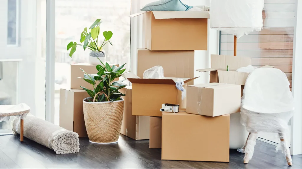 Moving tips 2025